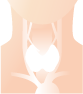 r3